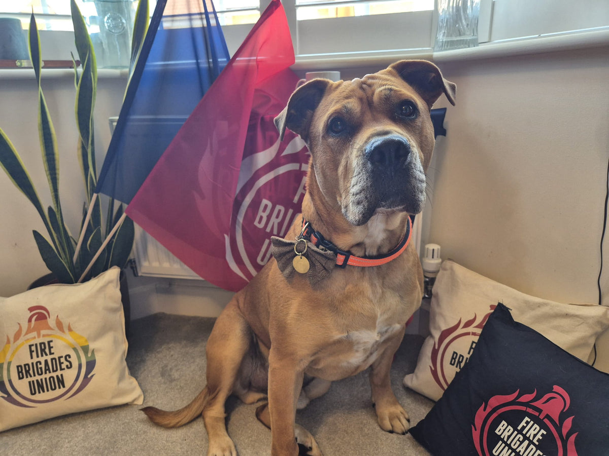 FBU Dog Tag – Fire Brigades Union